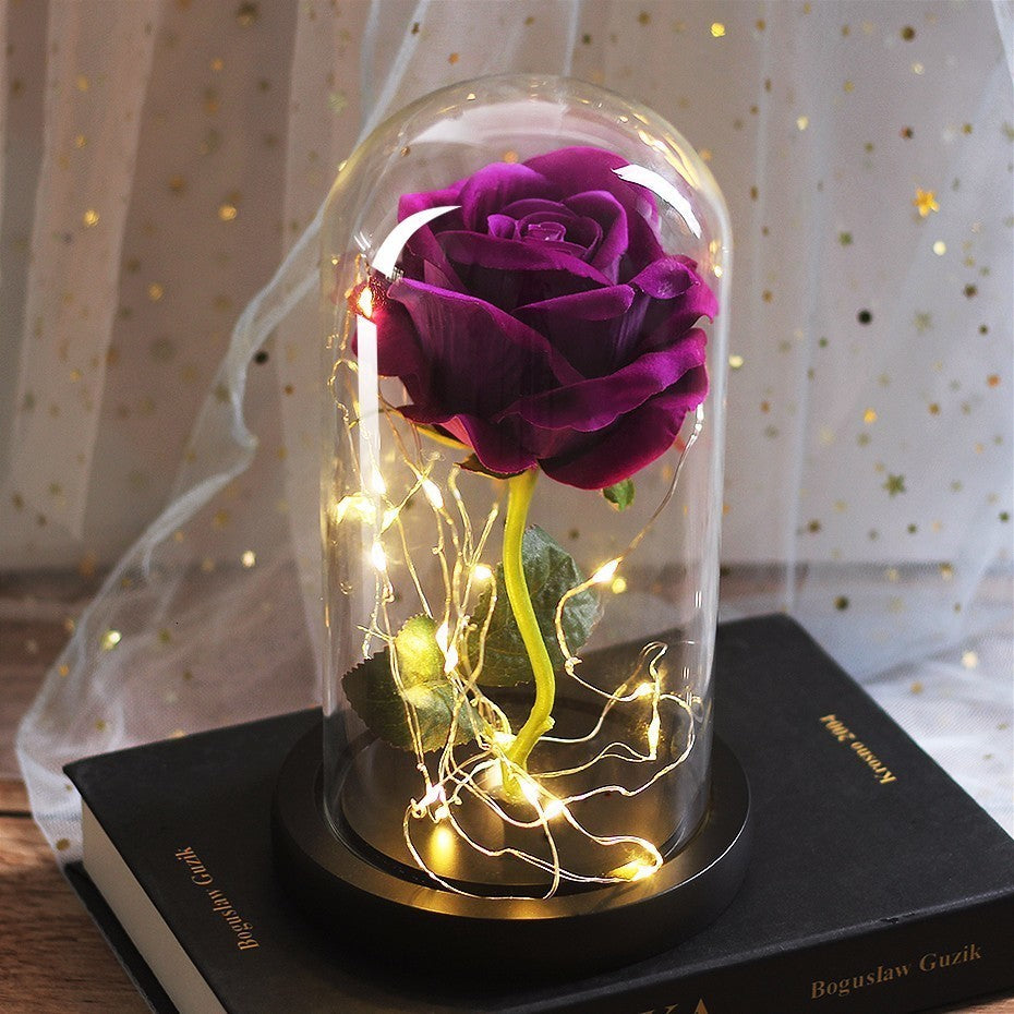 Eternal LED Rose in Glass Dome Gift