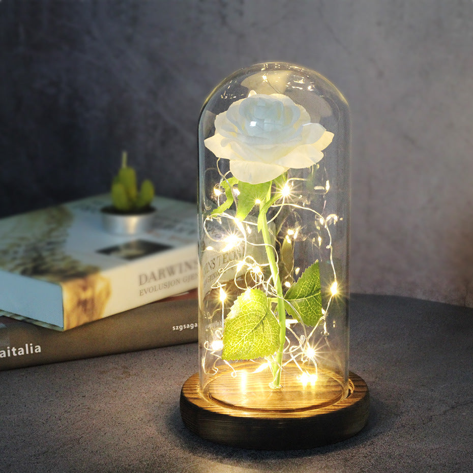 Eternal LED Rose in Glass Dome Gift