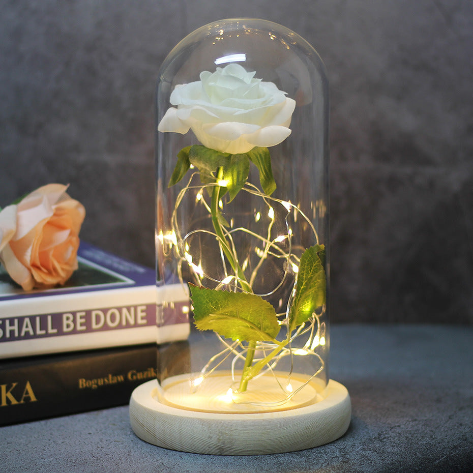 Eternal LED Rose in Glass Dome Gift
