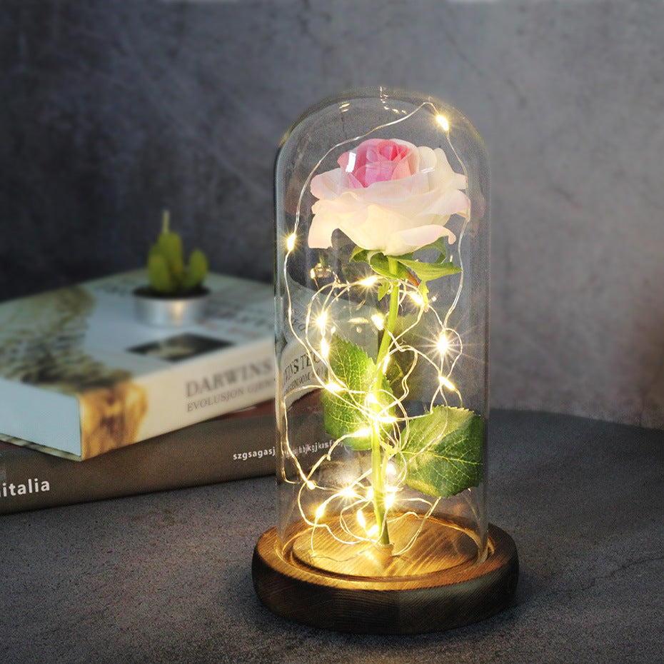 Eternal LED Rose in Glass Dome Gift