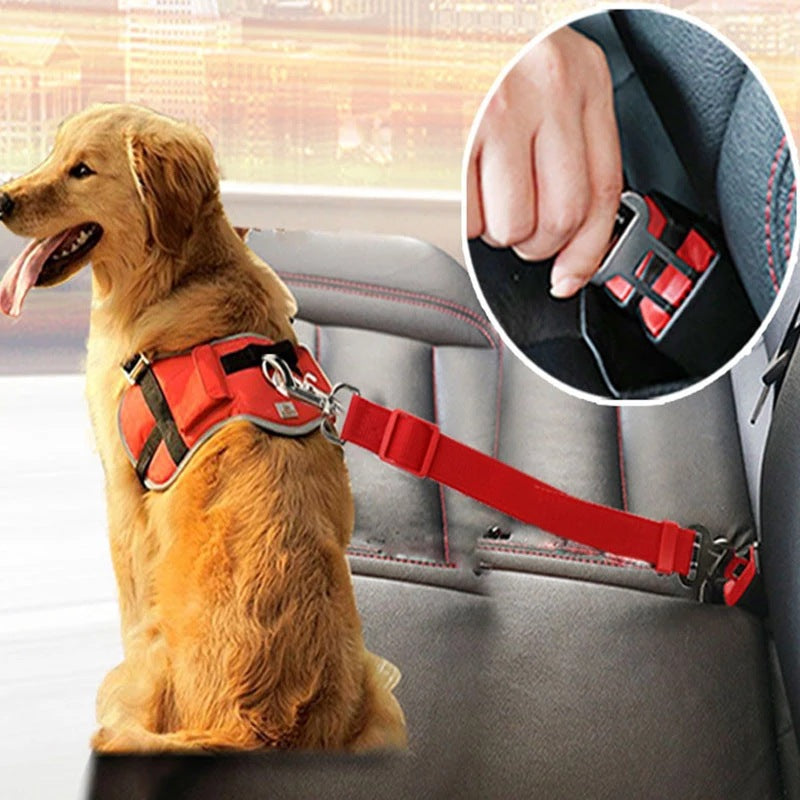 Adjustable Dog Collars driving Dogs Accessories Pets Products