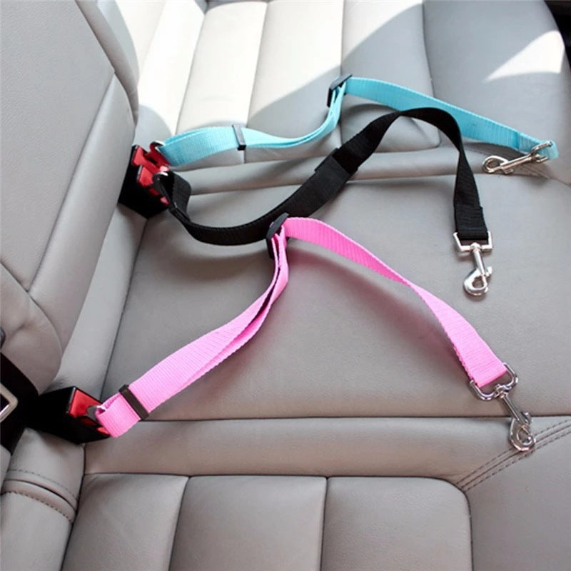 Adjustable Dog Collars driving Dogs Accessories Pets Products