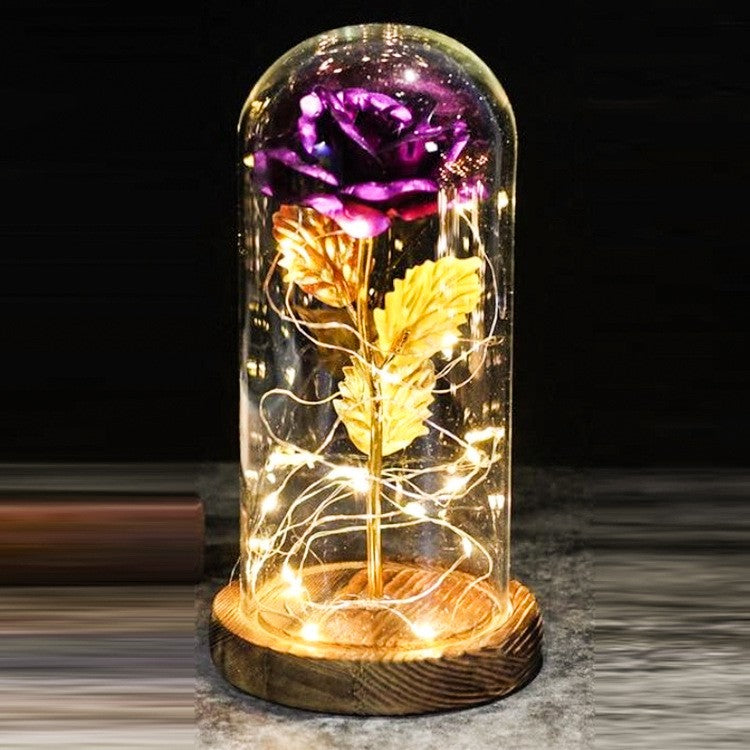 Eternal LED Rose in Glass Dome Gift
